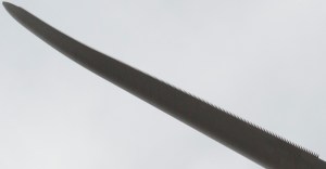 Credit: Larry Lorusso, used with permission